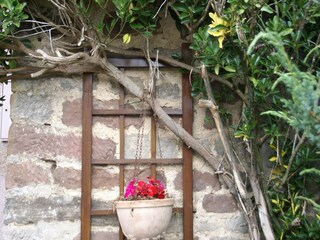 Maison de vacances Bains-les-Bains  37