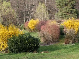 Holiday house Bains-les-Bains Environment 28