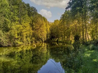 Maison de vacances Bains-les-Bains Environnement 32