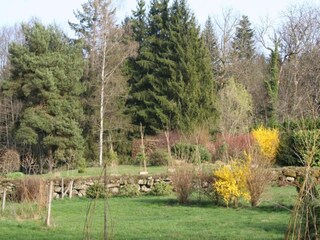 Maison de vacances Bains-les-Bains Environnement 33