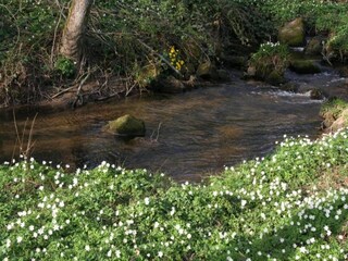 Casa de vacaciones Bains-les-Bains Entorno 27
