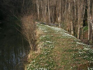 Vakantiehuis Bains-les-Bains Omgeving 31