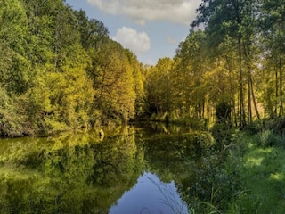 Holiday house Bains-les-Bains Environment 35