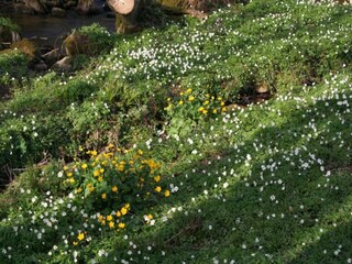 Maison de vacances Bains-les-Bains Environnement 32
