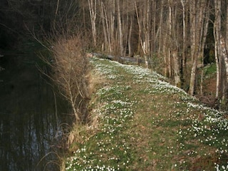 Ferienhaus Bains-les-Bains Umgebung 33