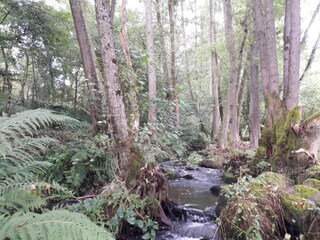 Maison de vacances Bains-les-Bains Environnement 35