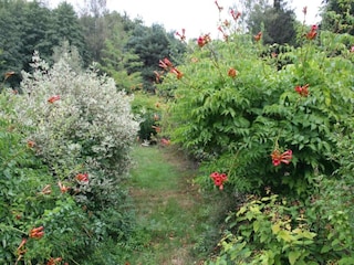 Ferienhaus Bains-les-Bains Umgebung 36