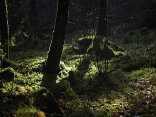 Maison de vacances Bains-les-Bains Environnement 27
