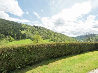 Chalet La Bresse Außenaufnahme 3