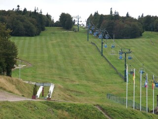 Chalet La Bresse Environment 25