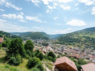 Chalet La Bresse Umgebung 30