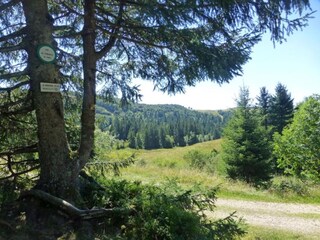 Chalet La Bresse Umgebung 32