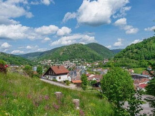 Chalet La Bresse Environnement 28