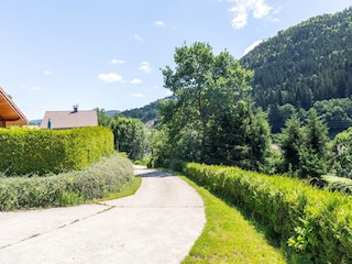 Chalet La Bresse Environnement 37