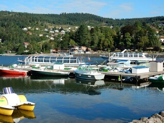 Chalet La Bresse Entorno 37