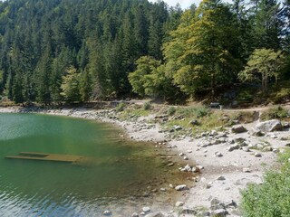 Chalet La Bresse Omgeving 38