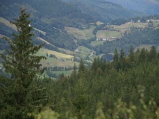 Chalet La Bresse Environment 23