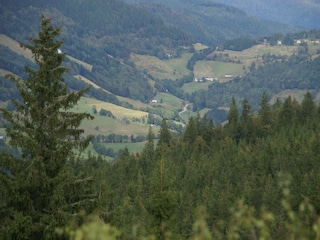 Chalet La Bresse Environnement 24