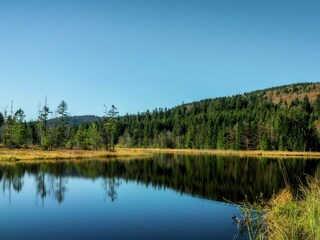 Chalet La Bresse Environment 34