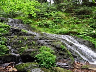 Chalet La Bresse Umgebung 34