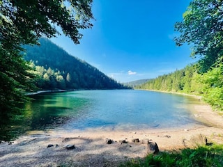 Chalet La Bresse Umgebung 35