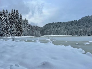 Chalet La Bresse Environment 26