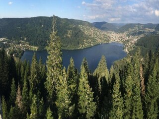 Chalet La Bresse Entorno 39