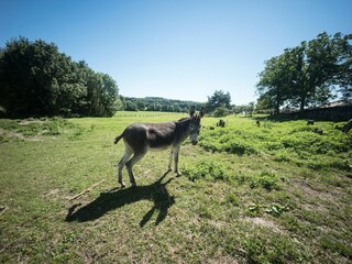 Appartement Claudon Buitenaudio-opname 1