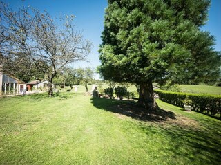 Appartement Claudon Enregistrement extérieur 10