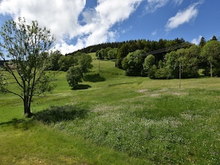 Chalet Saulxures-sur-Moselotte Außenaufnahme 11