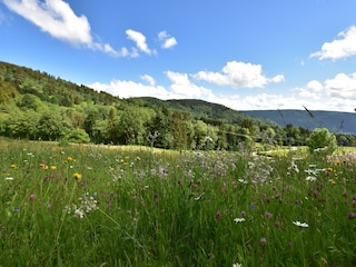 Chalet Saulxures-sur-Moselotte Außenaufnahme 13