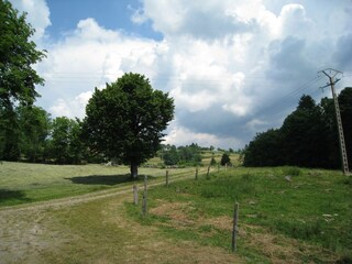 Chalet Saulxures-sur-Moselotte Ambiente 26