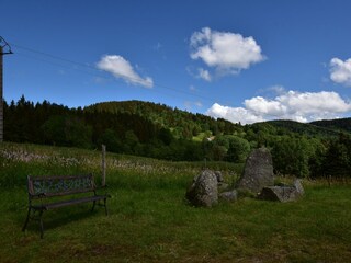 Chalet Saulxures-sur-Moselotte Enregistrement extérieur 2
