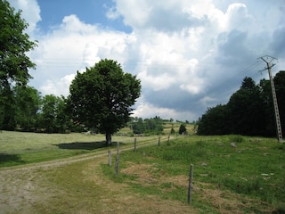 Chalet Saulxures-sur-Moselotte Umgebung 35