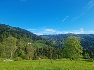 Chalet Saulxures-sur-Moselotte Umgebung 26