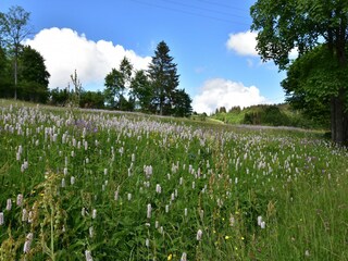 Chalet Saulxures-sur-Moselotte Entorno 27