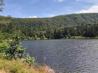 Chalet Saulxures-sur-Moselotte Umgebung 28