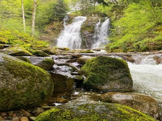 Chalet Saulxures-sur-Moselotte Umgebung 31