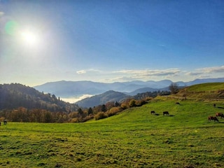 Chalet Saulxures-sur-Moselotte Umgebung 34