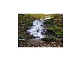 Chalet Cornimont Environment 34