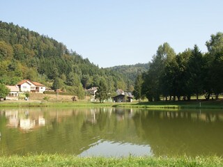 Chalet Cornimont Omgeving 28