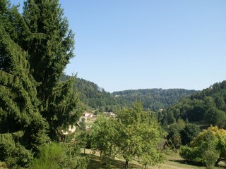 Chalet Cornimont Omgeving 29