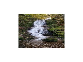 Chalet Cornimont Ambiente 31