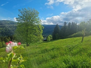 Chalet Cornimont Umgebung 34