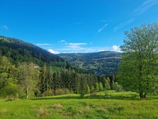 Chalet Cornimont Umgebung 36
