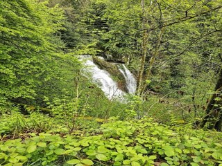 Chalet Cornimont Umgebung 37