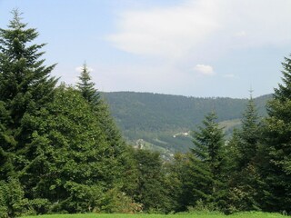 Chalet Cornimont Buitenaudio-opname 9
