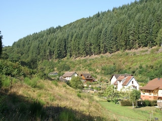 Chalet Cornimont Umgebung 25