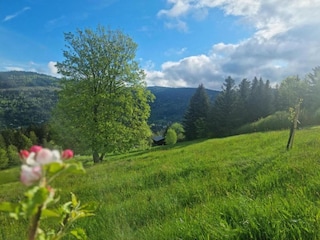 Chalet Cornimont Umgebung 36