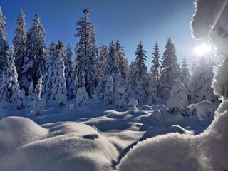 Chalet Cornimont Umgebung 34